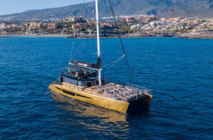 Freebird Catamaran boat ride in Tenerife 6